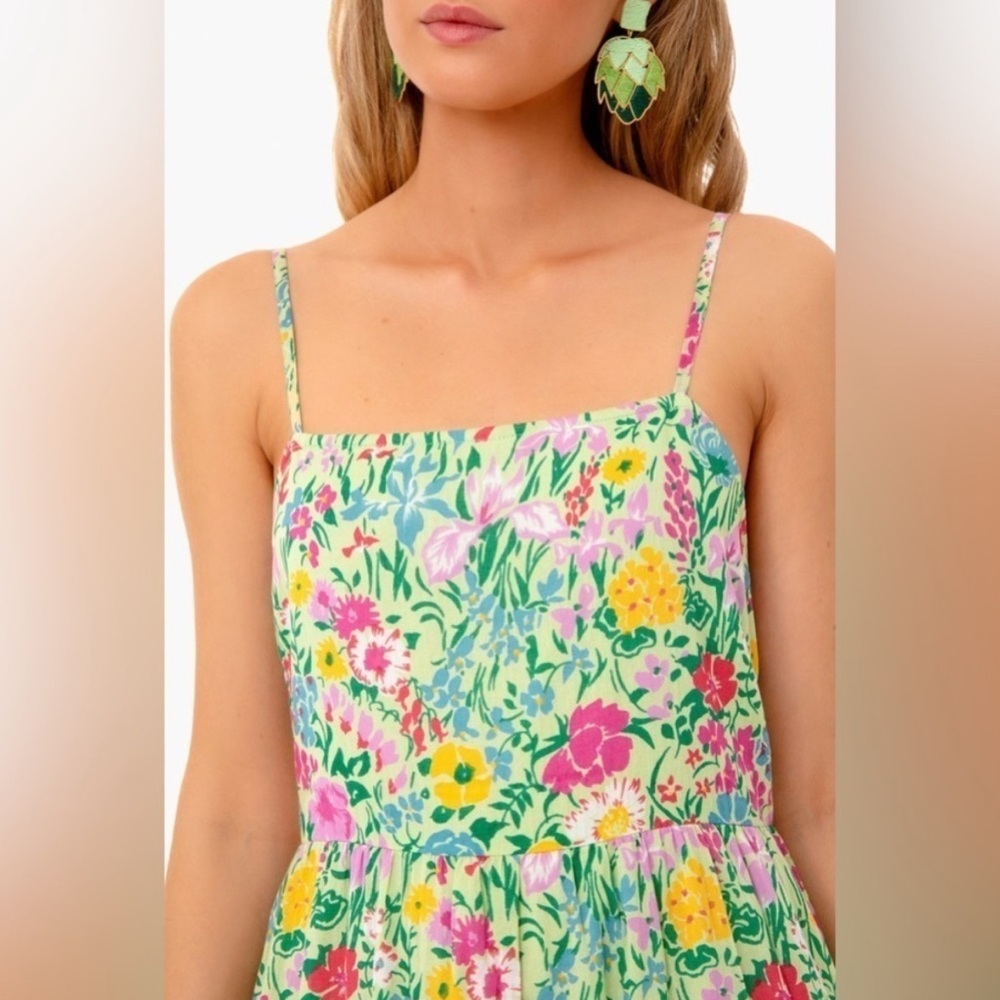 Banjanan Hazel Sleeveless Tiered Maxi Dress in Dawn Chorus Pistachio Green; XS - Picture 5 of 15